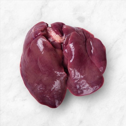 Liver